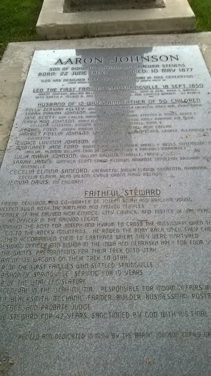 Aaron Johnson Springville