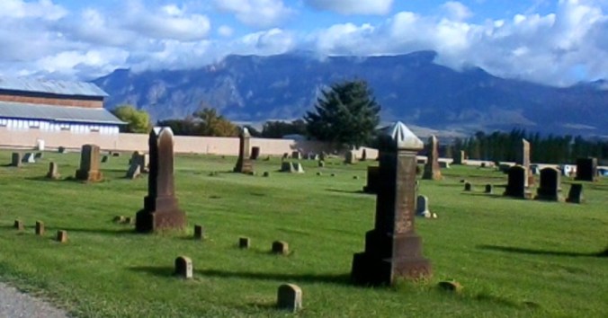 red cemetery almost brown close