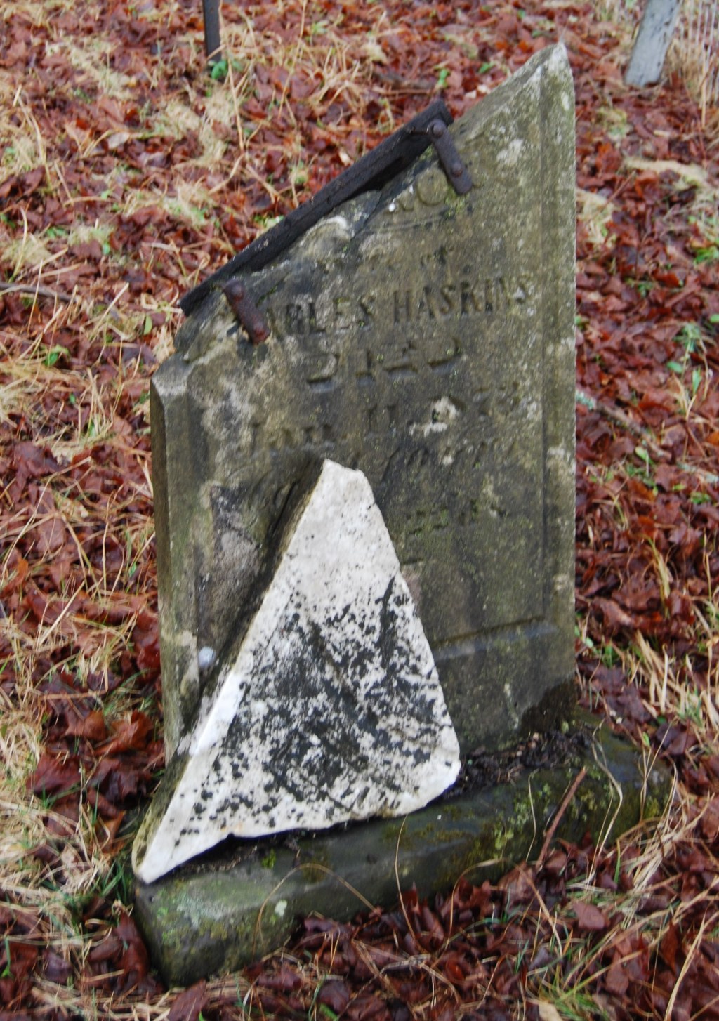 Cousin Connection #4: Evidence from the Grave